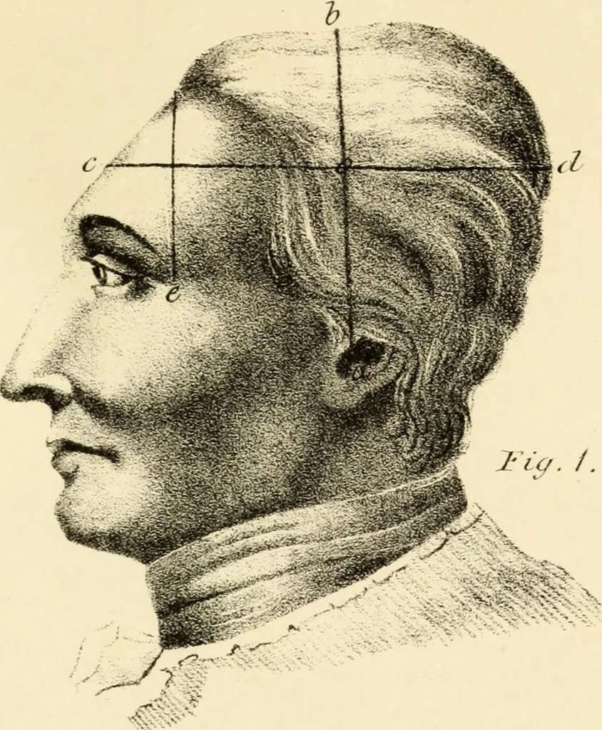 An illustration from Phrenology in connection with the study of physiognomy : to which is prefixed a biography of the author by Nahum Capen, 1836, leaf 384