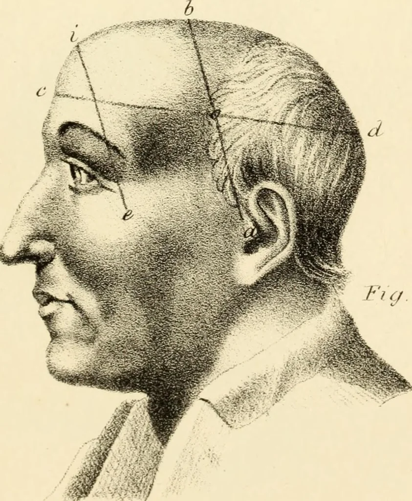 An illustration from Phrenology in connection with the study of physiognomy : to which is prefixed a biography of the author by Nahum Capen, 1836, leaf 384