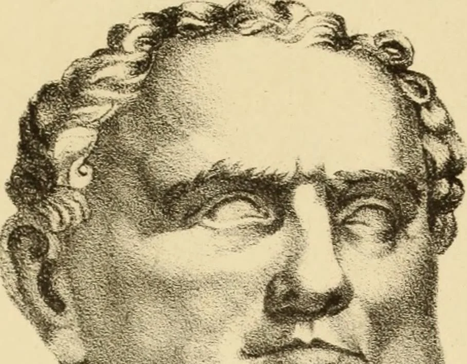 An illustration from Phrenology in connection with the study of physiognomy : to which is prefixed a biography of the author by Nahum Capen, 1836, leaf 386