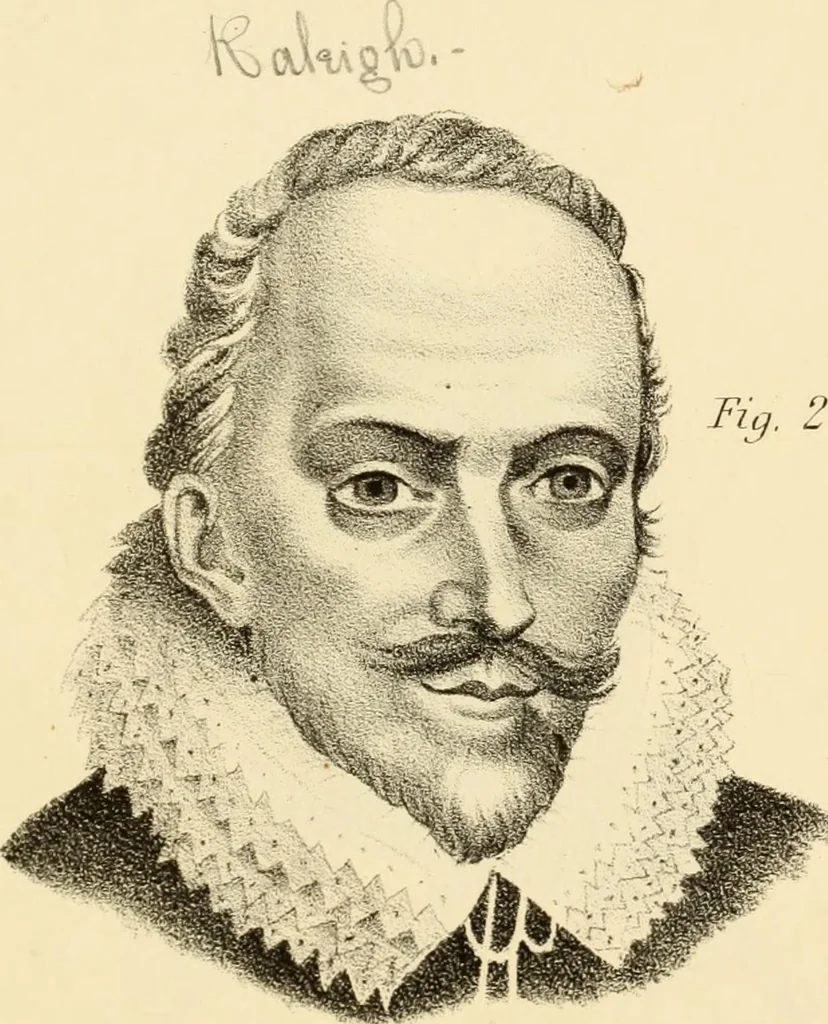 An illustration from Phrenology in connection with the study of physiognomy : to which is prefixed a biography of the author by Nahum Capen, 1836, leaf 388
