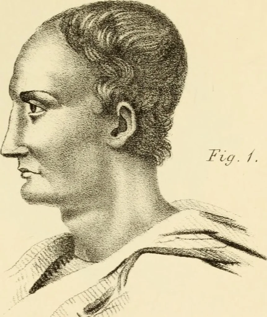 An illustration from Phrenology in connection with the study of physiognomy : to which is prefixed a biography of the author by Nahum Capen, 1836, leaf 392