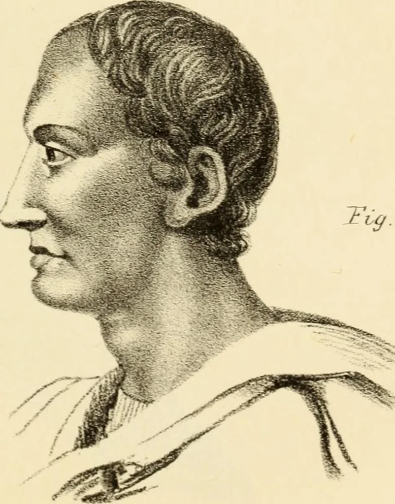 An illustration from Phrenology in connection with the study of physiognomy : to which is prefixed a biography of the author by Nahum Capen, 1836, leaf 392