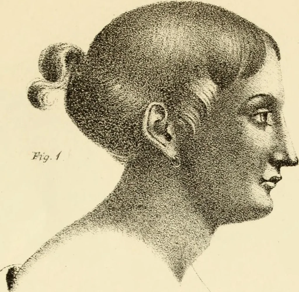 An illustration from Phrenology in connection with the study of physiognomy : to which is prefixed a biography of the author by Nahum Capen, 1836, leaf 396
