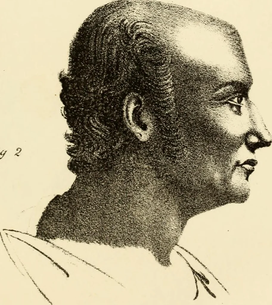 An illustration from Phrenology in connection with the study of physiognomy : to which is prefixed a biography of the author by Nahum Capen, 1836, leaf 396