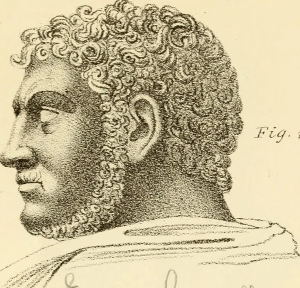 An illustration from Phrenology in connection with the study of physiognomy : to which is prefixed a biography of the author by Nahum Capen, 1836, leaf 400