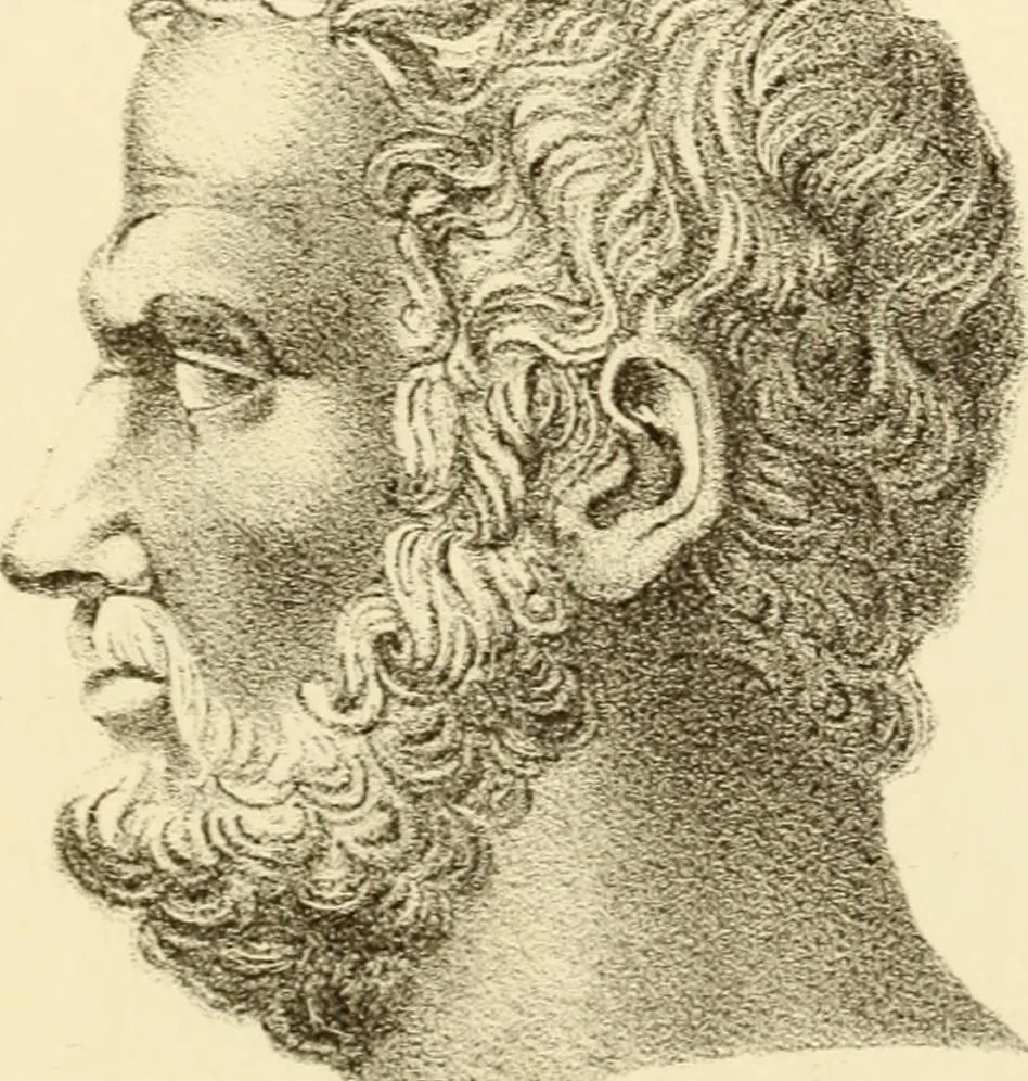 An illustration from Phrenology in connection with the study of physiognomy : to which is prefixed a biography of the author by Nahum Capen, 1836, leaf 400