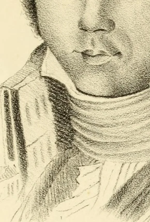 An illustration from Phrenology in connection with the study of physiognomy : to which is prefixed a biography of the author by Nahum Capen, 1836, leaf 408