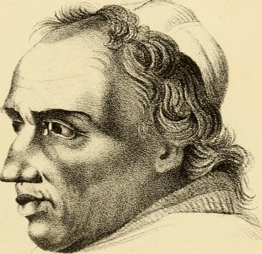 An illustration from Phrenology in connection with the study of physiognomy : to which is prefixed a biography of the author by Nahum Capen, 1836, leaf 412