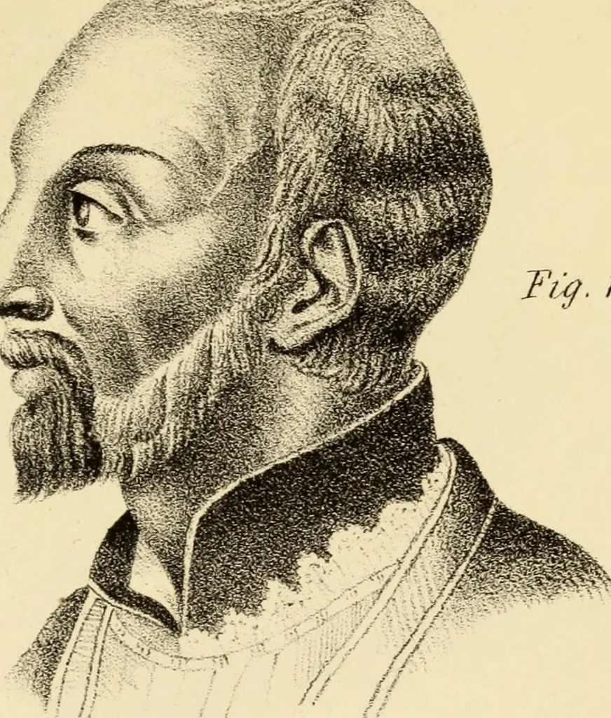 An illustration from Phrenology in connection with the study of physiognomy : to which is prefixed a biography of the author by Nahum Capen, 1836, leaf 416