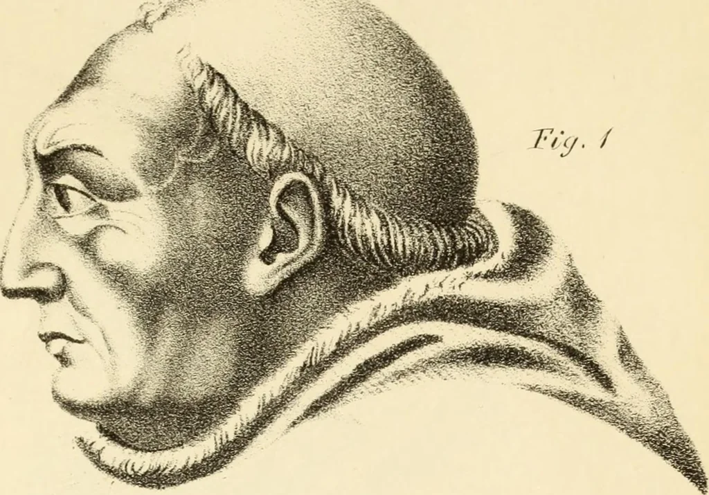 An illustration from Phrenology in connection with the study of physiognomy : to which is prefixed a biography of the author by Nahum Capen, 1836, leaf 420