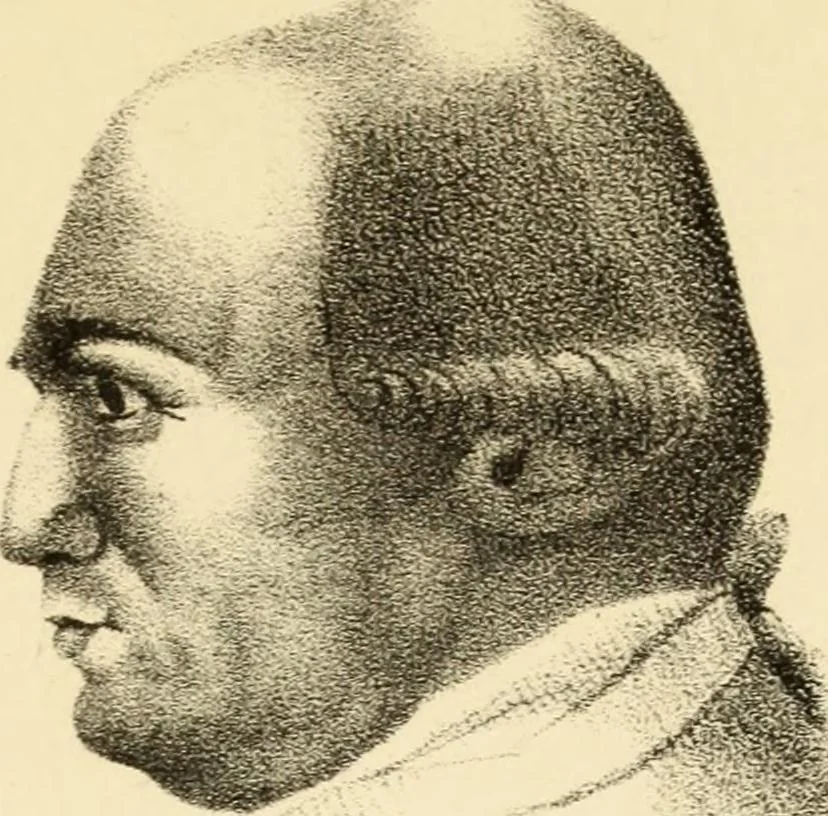 An illustration from Phrenology in connection with the study of physiognomy : to which is prefixed a biography of the author by Nahum Capen, 1836, leaf 424