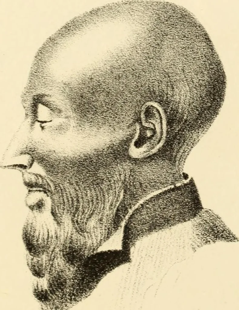 An illustration from Phrenology in connection with the study of physiognomy : to which is prefixed a biography of the author by Nahum Capen, 1836, leaf 424