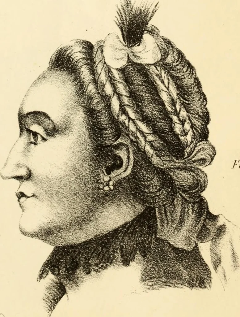 An illustration from Phrenology in connection with the study of physiognomy : to which is prefixed a biography of the author by Nahum Capen, 1836, leaf 426
