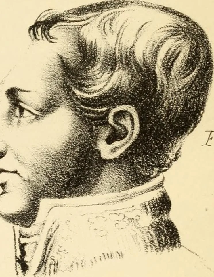 An illustration from Phrenology in connection with the study of physiognomy : to which is prefixed a biography of the author by Nahum Capen, 1836, leaf 430