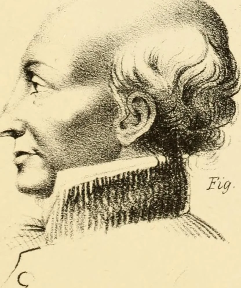 An illustration from Phrenology in connection with the study of physiognomy : to which is prefixed a biography of the author by Nahum Capen, 1836, leaf 430