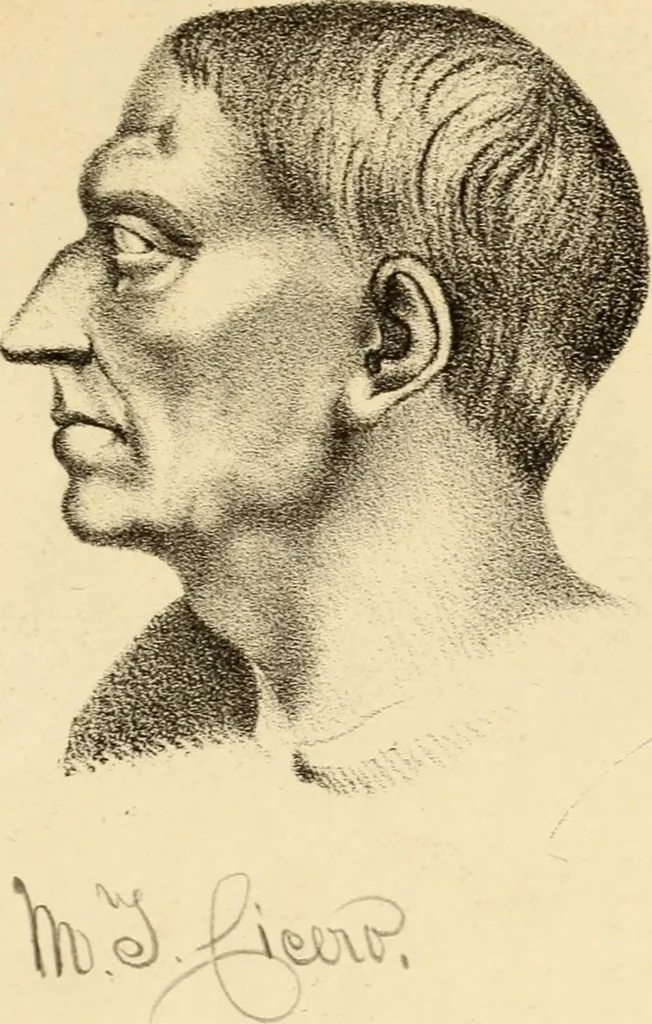 An illustration from Phrenology in connection with the study of physiognomy : to which is prefixed a biography of the author by Nahum Capen, 1836, leaf 436