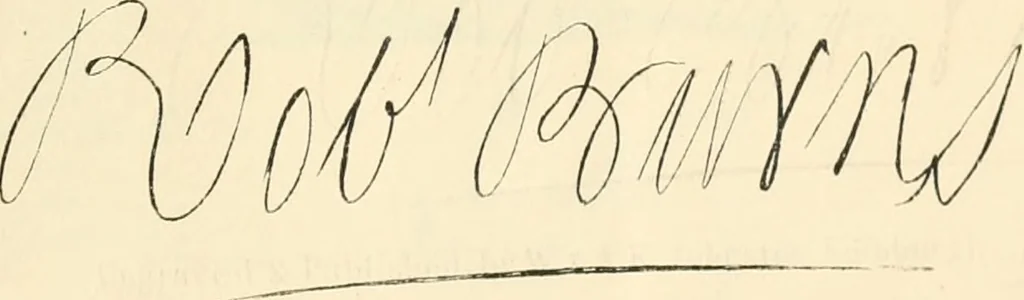 An illustration from Phrenological development of Robert Burns, from a cast of his skull moulded at Dumfries, the 31st day of March, 1834, 1859, leaf 6