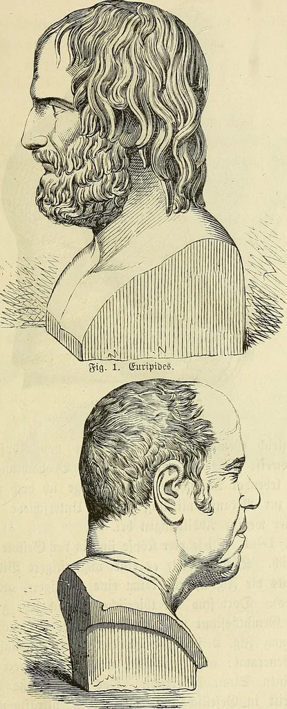 An illustration from Phrenologische Bilder : zur Naturlehre des menschlichen Geistes und deren Anwendung Wissenschaft und Leben, 1855, leaf 350