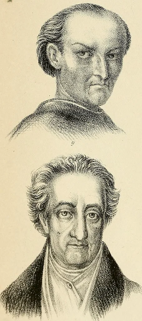 An illustration from Phrenologische Bilder : zur Naturlehre des menschlichen Geistes und deren Anwendung Wissenschaft und Leben, 1855, leaf 383