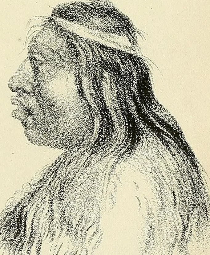 An illustration from Phrenologische Bilder : zur Naturlehre des menschlichen Geistes und deren Anwendung Wissenschaft und Leben, 1855, leaf 384