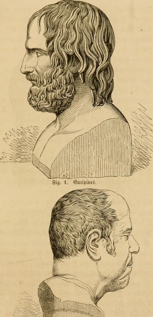 An illustration from Phrenologische Bilder : zur Naturlehre des menschlichen Geistes und deren Anwendung Wissenschaft und Leben, 1855, leaf 356
