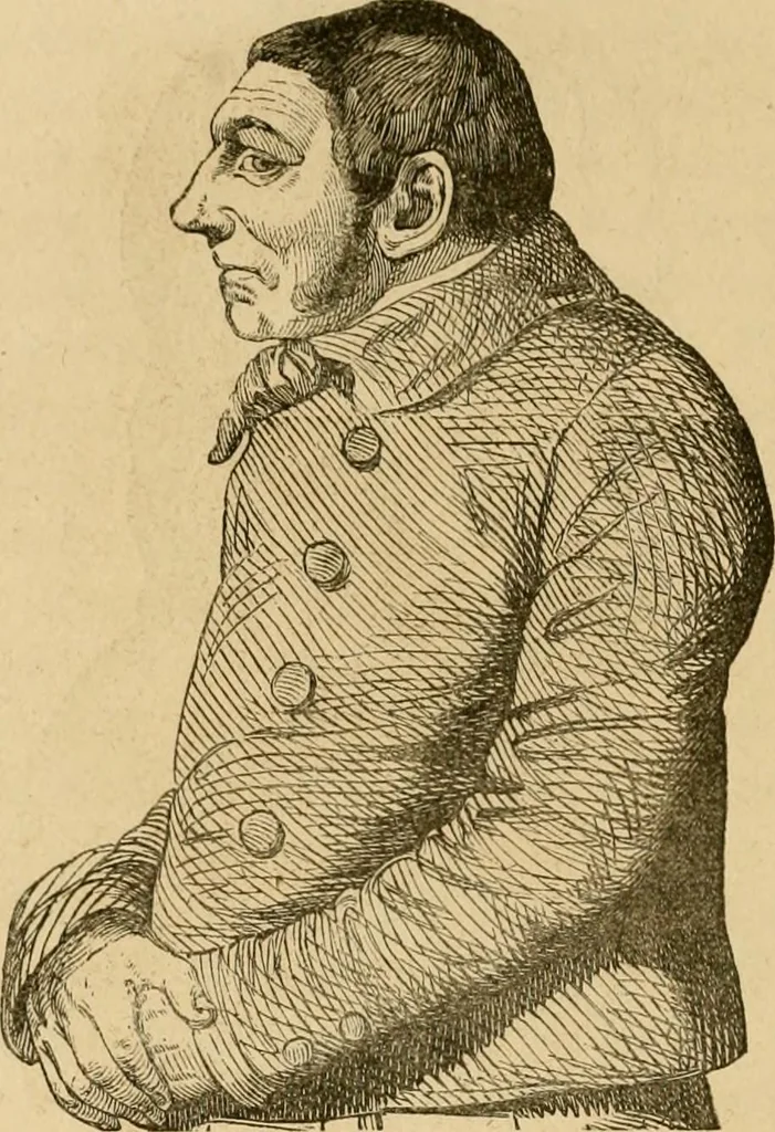 An illustration from Phrenologische Bilder : zur Naturlehre des menschlichen Geistes und deren Anwendung Wissenschaft und Leben, 1855, leaf 357