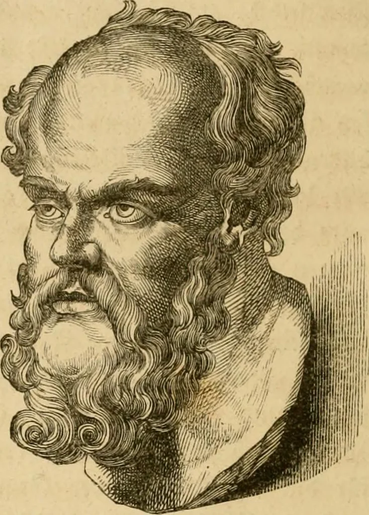 An illustration from Phrenologische Bilder : zur Naturlehre des menschlichen Geistes und deren Anwendung Wissenschaft und Leben, 1855, leaf 361