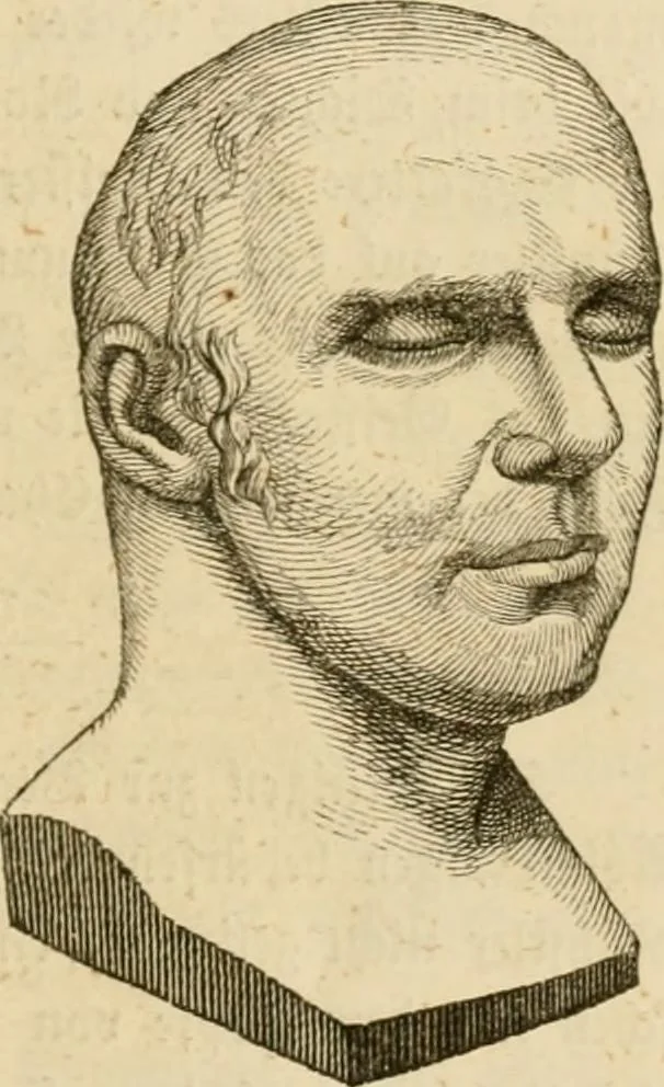 An illustration from Phrenologische Bilder : zur Naturlehre des menschlichen Geistes und deren Anwendung Wissenschaft und Leben, 1855, leaf 590