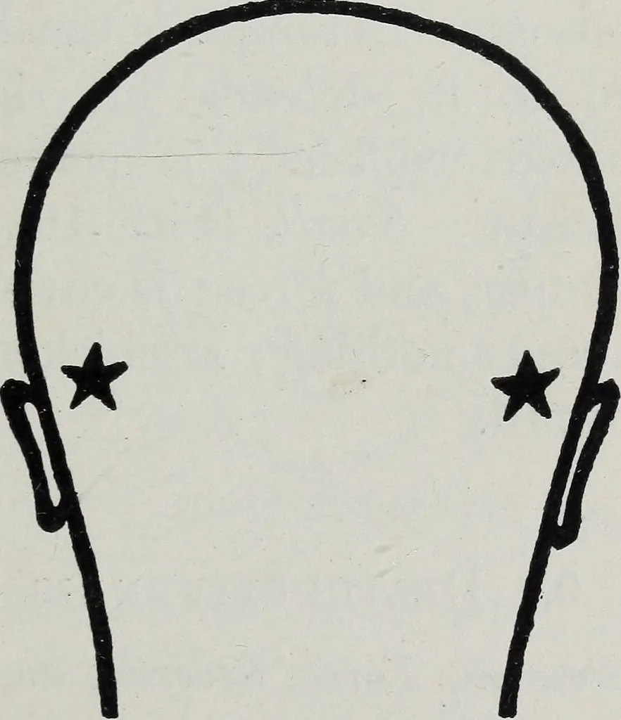 An illustration from Phrenology; how to tell your own and your friend's character from the shape of the head, 1910, leaf 100