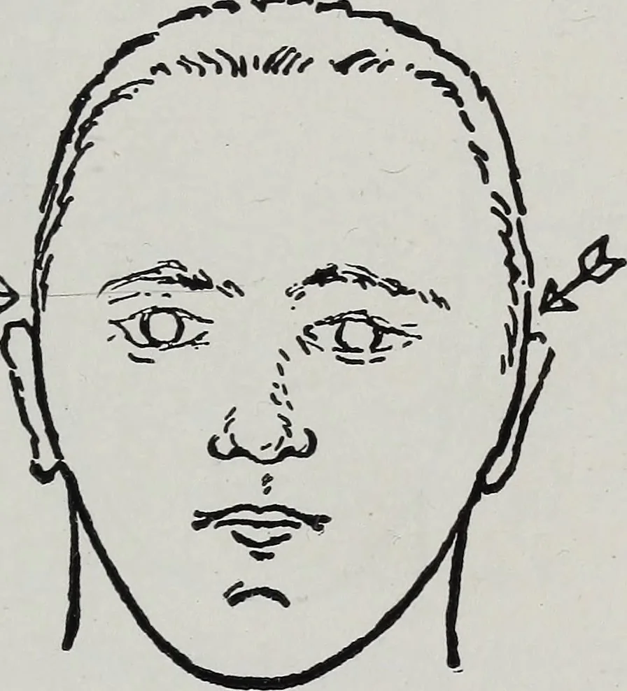 An illustration from Phrenology; how to tell your own and your friend's character from the shape of the head, 1910, leaf 102