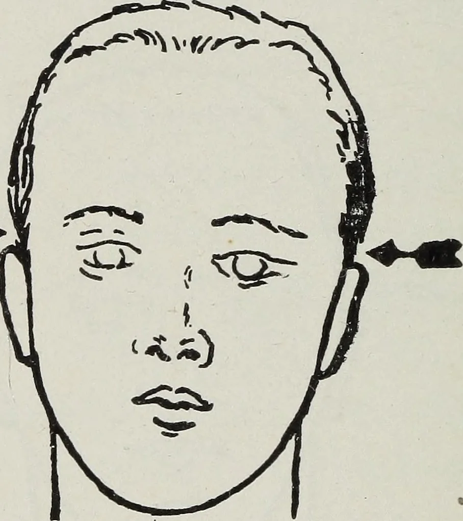 An illustration from Phrenology; how to tell your own and your friend's character from the shape of the head, 1910, leaf 103