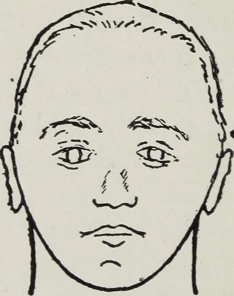 An illustration from Phrenology; how to tell your own and your friend's character from the shape of the head, 1910, leaf 105