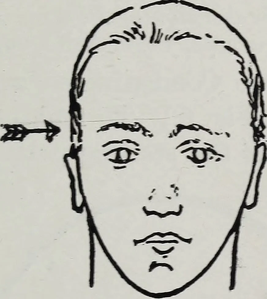 An illustration from Phrenology; how to tell your own and your friend's character from the shape of the head, 1910, leaf 106