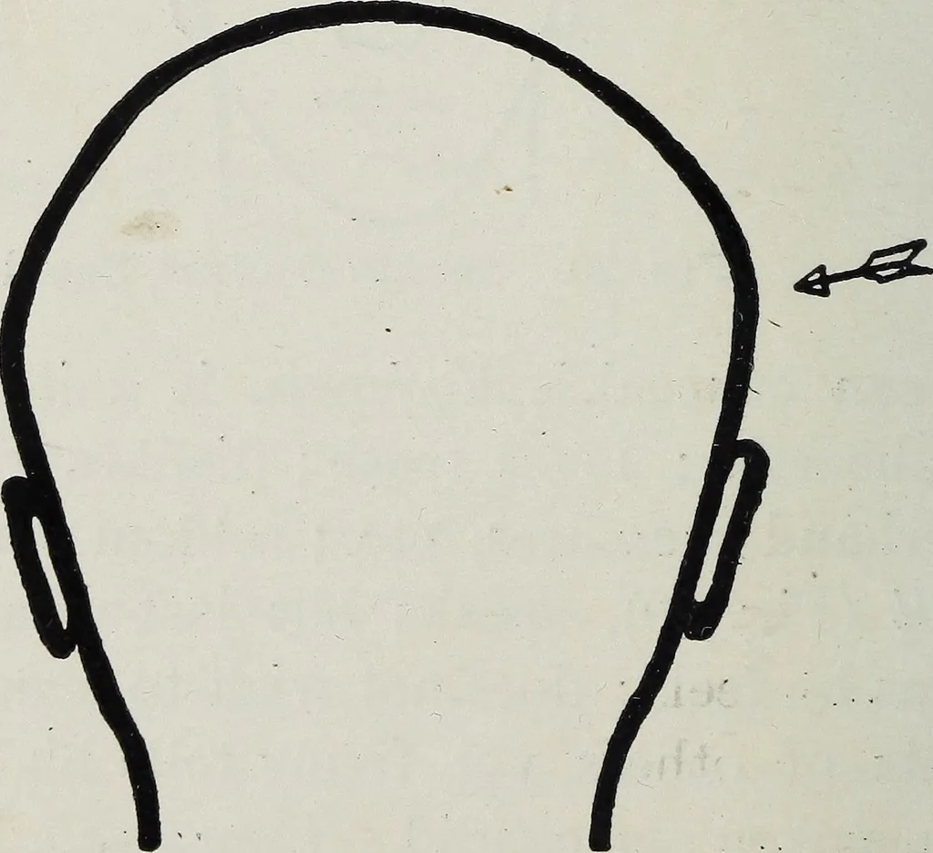 An illustration from Phrenology; how to tell your own and your friend's character from the shape of the head, 1910, leaf 107