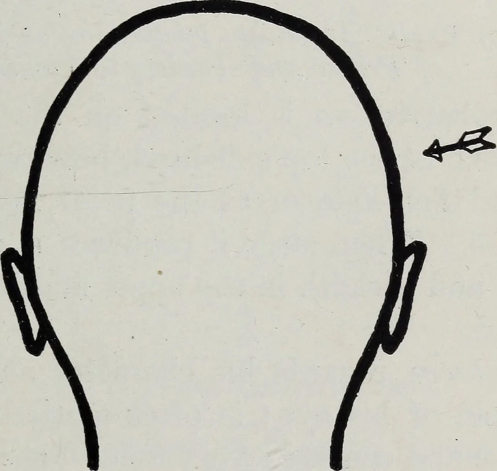 An illustration from Phrenology; how to tell your own and your friend's character from the shape of the head, 1910, leaf 108