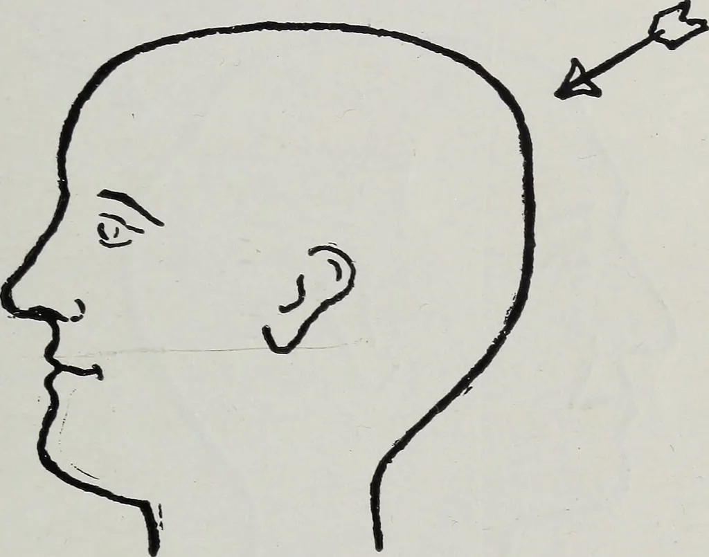 An illustration from Phrenology; how to tell your own and your friend's character from the shape of the head, 1910, leaf 110