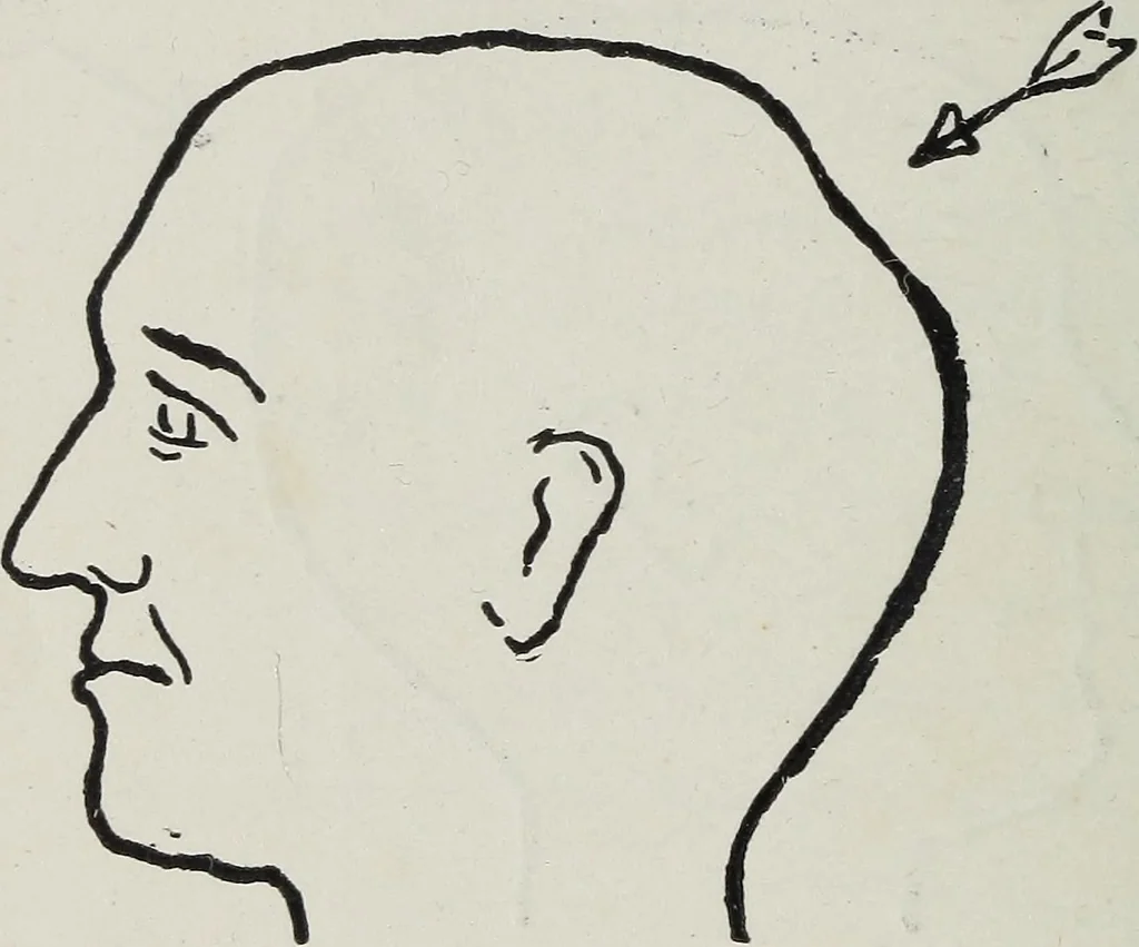 An illustration from Phrenology; how to tell your own and your friend's character from the shape of the head, 1910, leaf 111