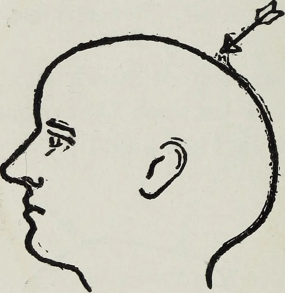 An illustration from Phrenology; how to tell your own and your friend's character from the shape of the head, 1910, leaf 113