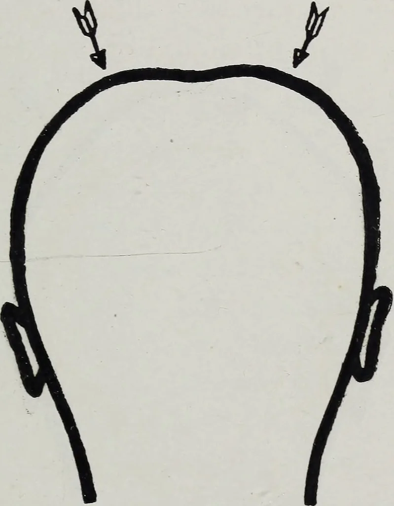 An illustration from Phrenology; how to tell your own and your friend's character from the shape of the head, 1910, leaf 114