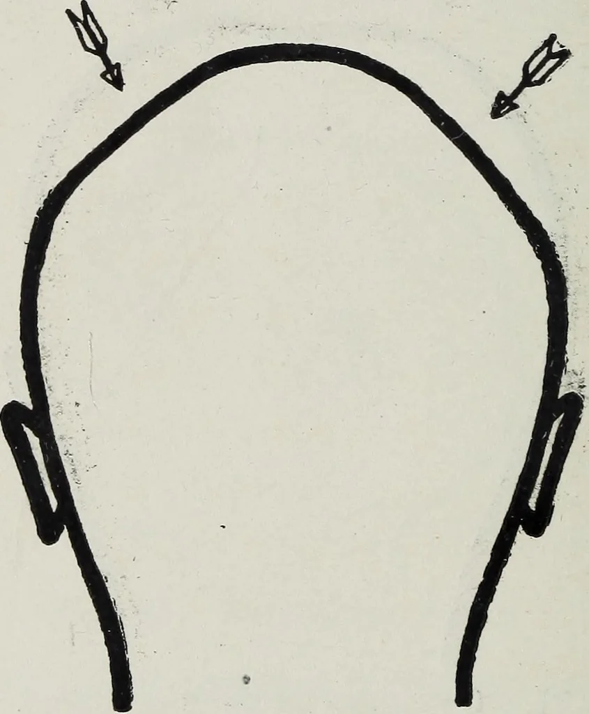 An illustration from Phrenology; how to tell your own and your friend's character from the shape of the head, 1910, leaf 115