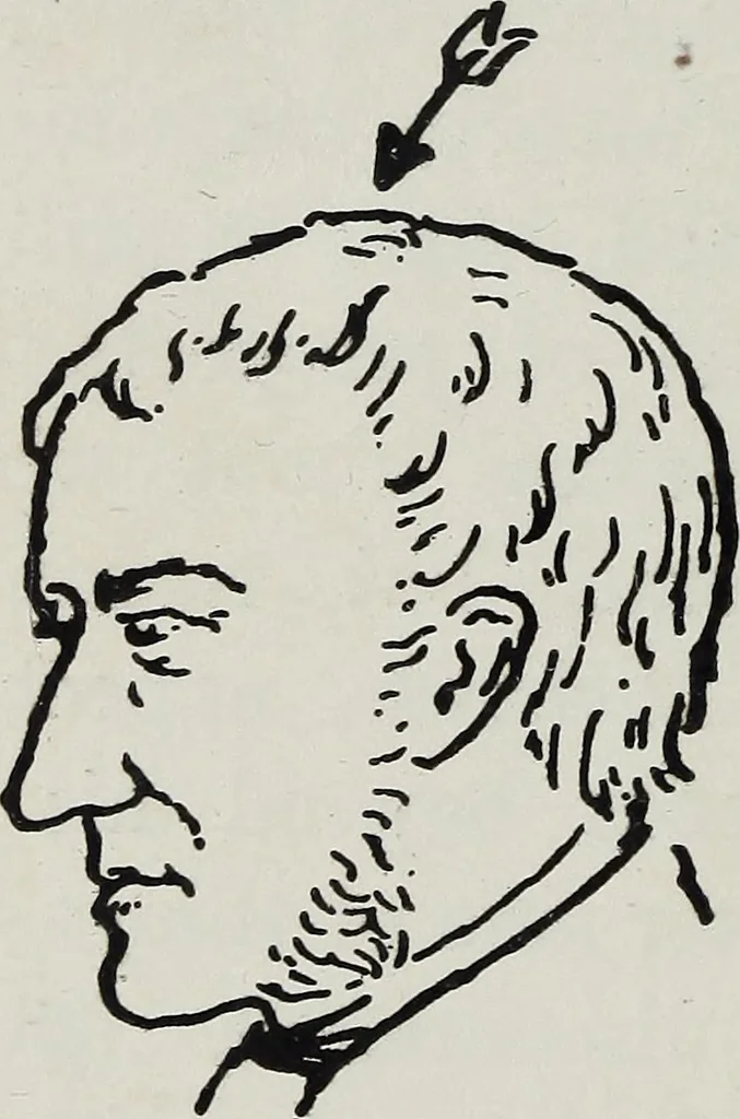An illustration from Phrenology; how to tell your own and your friend's character from the shape of the head, 1910, leaf 117