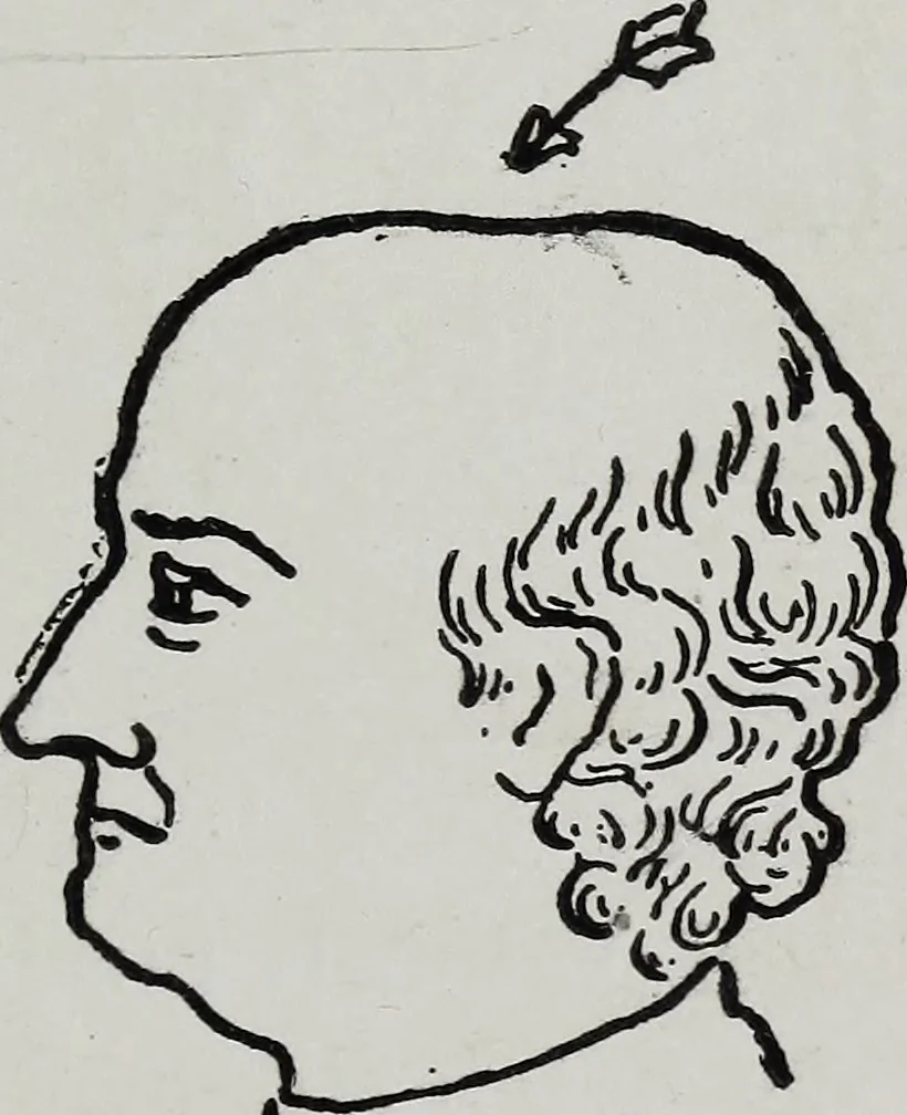 An illustration from Phrenology; how to tell your own and your friend's character from the shape of the head, 1910, leaf 118