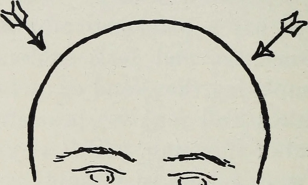 An illustration from Phrenology; how to tell your own and your friend's character from the shape of the head, 1910, leaf 125