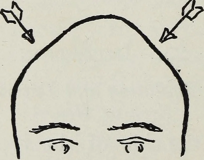 An illustration from Phrenology; how to tell your own and your friend's character from the shape of the head, 1910, leaf 125