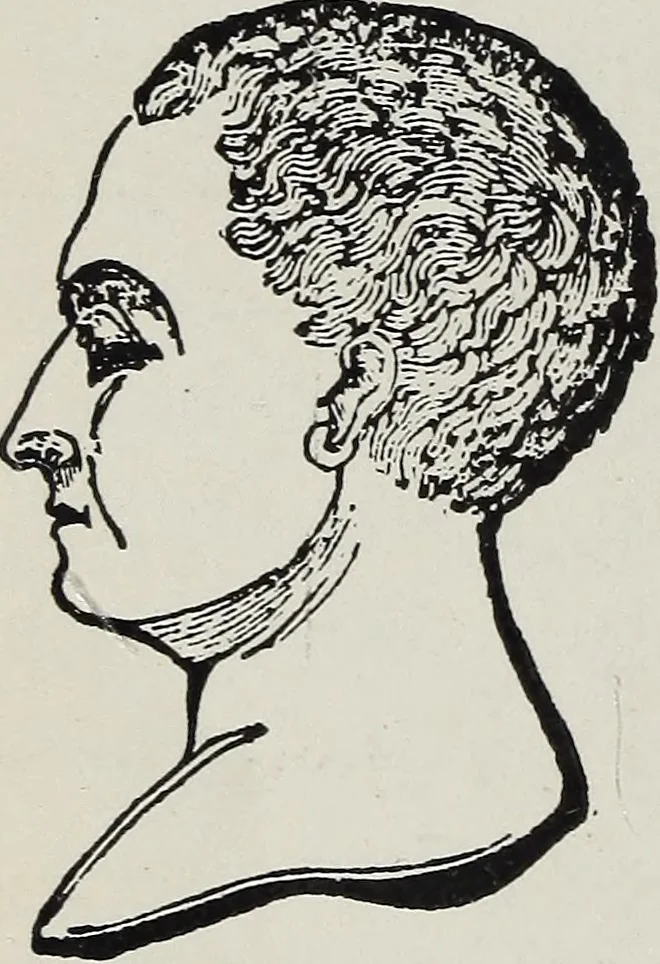 An illustration from Phrenology; how to tell your own and your friend's character from the shape of the head, 1910, leaf 147