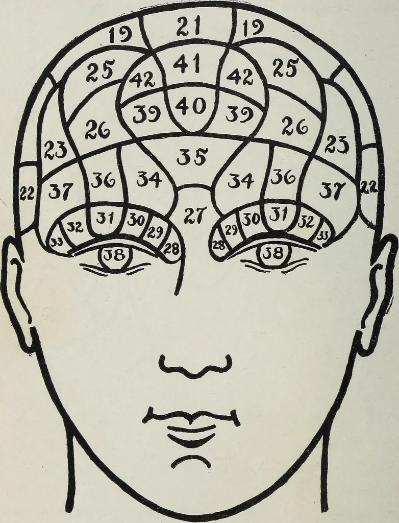 An illustration from Phrenology; how to tell your own and your friend's character from the shape of the head, 1910, leaf 89