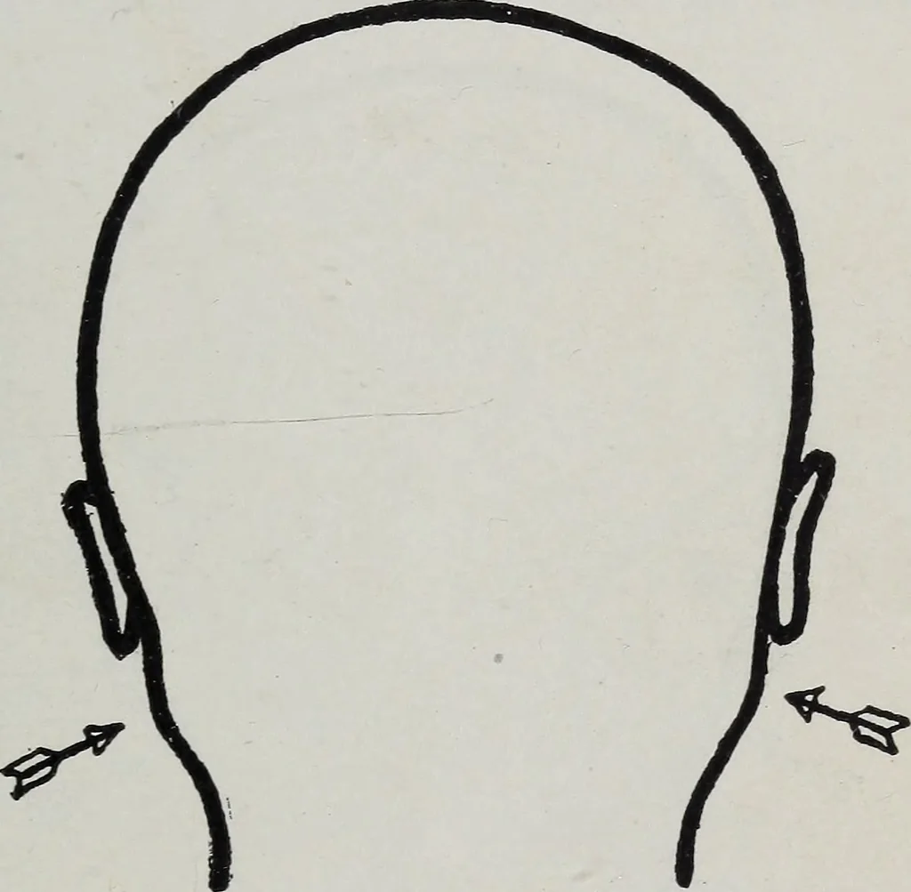 An illustration from Phrenology; how to tell your own and your friend's character from the shape of the head, 1910, leaf 90