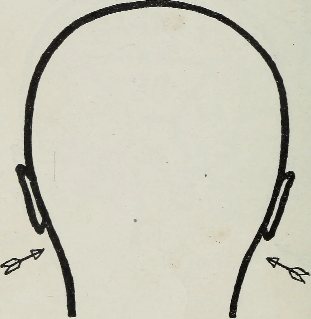 An illustration from Phrenology; how to tell your own and your friend's character from the shape of the head, 1910, leaf 91
