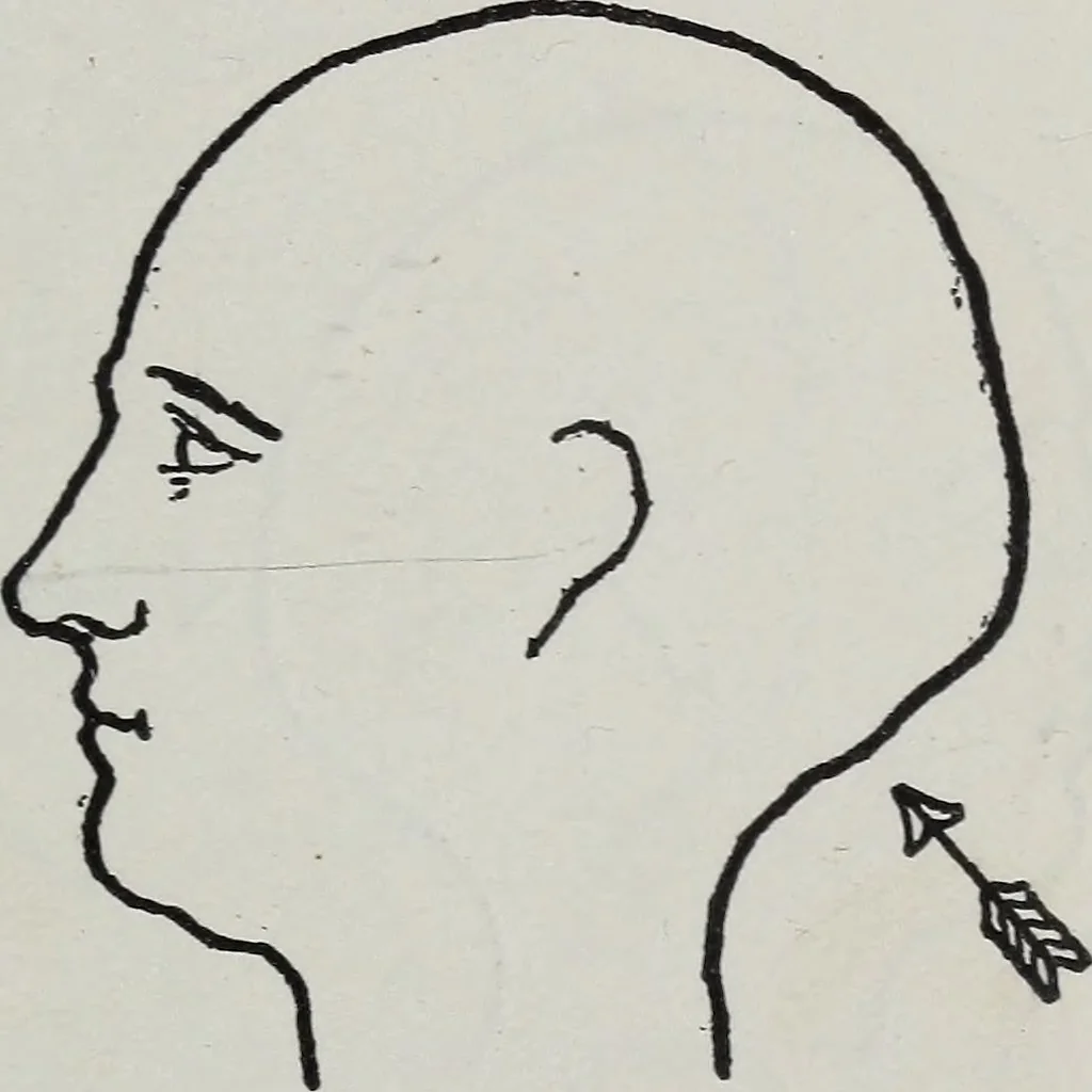 An illustration from Phrenology; how to tell your own and your friend's character from the shape of the head, 1910, leaf 92