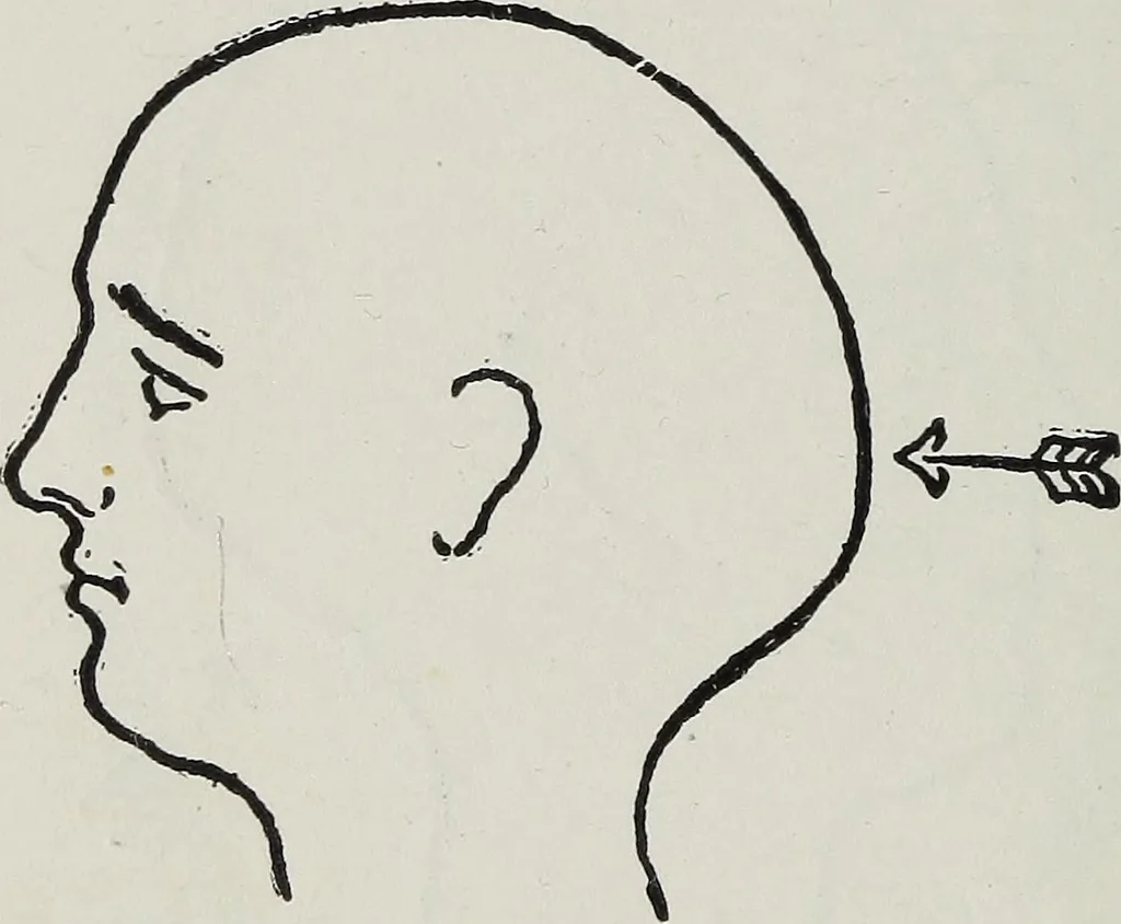 An illustration from Phrenology; how to tell your own and your friend's character from the shape of the head, 1910, leaf 93